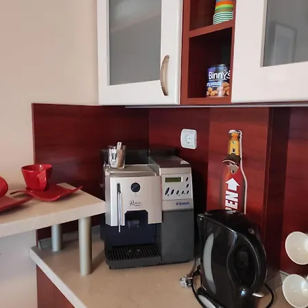 за гости манчев Apartment Stoykite