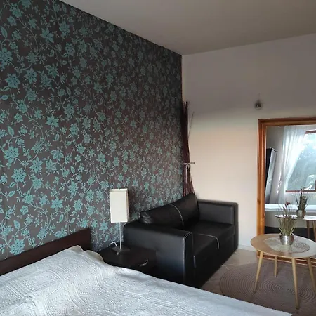 Apartment за гости манчев Stoykite